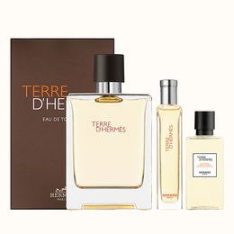 Набор Hermes Terre d'Hermes Eau de Toilette для мужчин  - set (edt 100 ml + shower gel 40 ml + edt 15 ml mini)