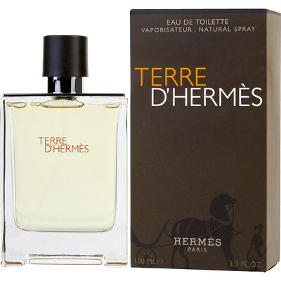 Туалетна вода Hermes Terre dANDamp;#39;Hermes Eau De Toilette для чоловіків (оригінал) - edt 100 ml